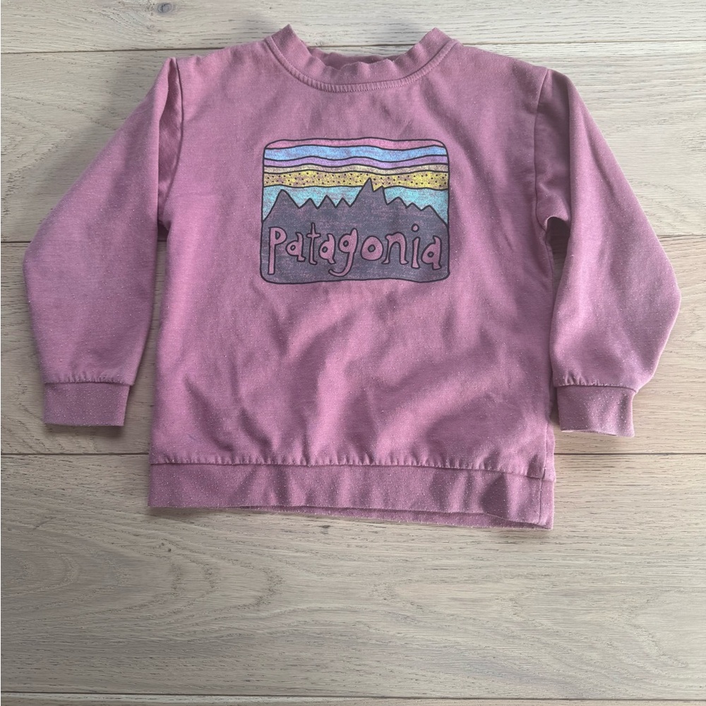 Patagonia Kids' Mauve Sweatshirt